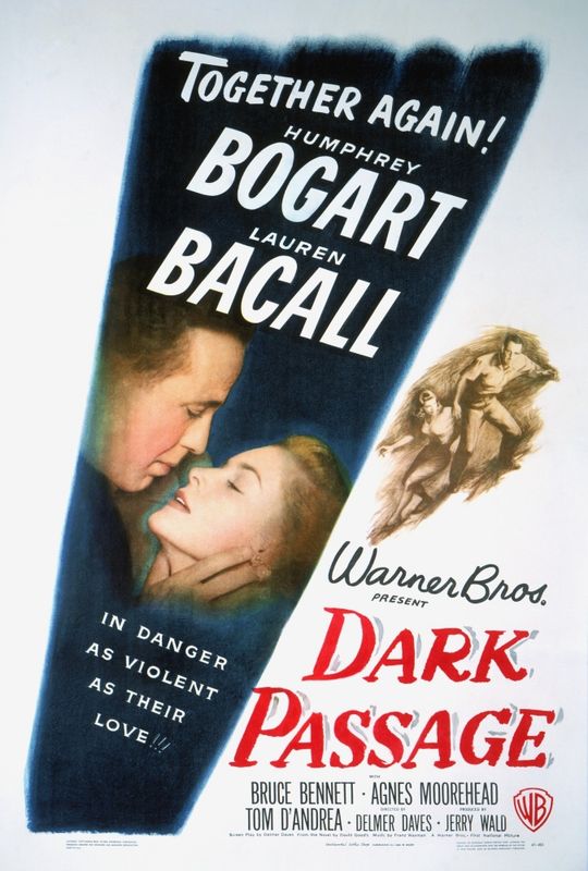 Dark Passage (18)