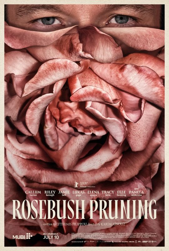 Rosebush Pruning (18)