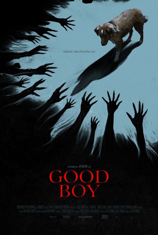 Good Boy (15)