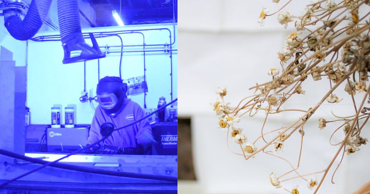 PREVIEW / Double Solo Spring Exhibitions