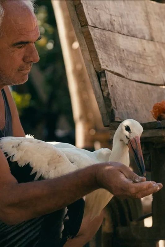 The Tale of Silyan (12A)