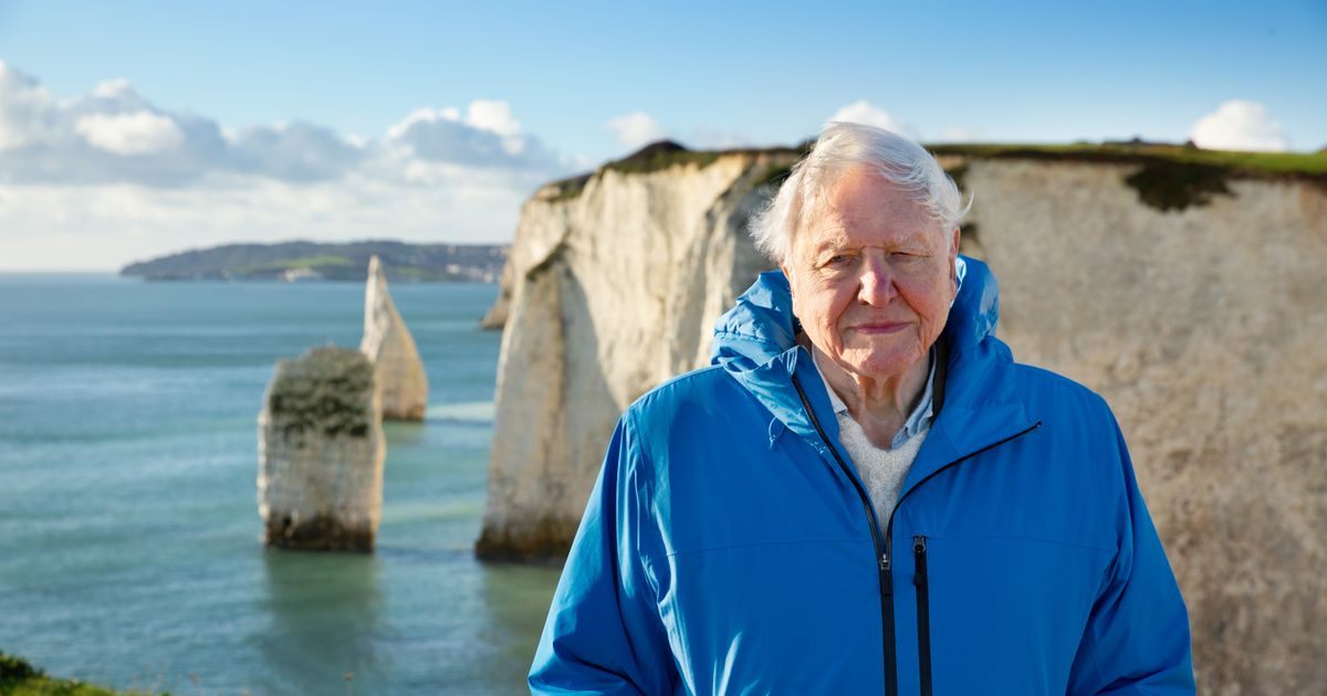 Ocean with David Attenborough (PG) — Stunning, immersive cinematography ...