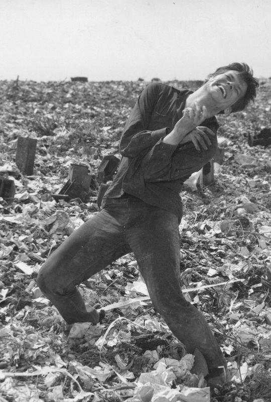 Ashes and Diamonds (18)